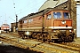 LTS 0126 - DR "131 023-4"
__.05.1988 - Engelsdorf, BahnbetriebswerkMarco Osterland