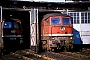 LTS 0146 - DR "131 032-5"
19.11.1989 - Falkenberg (Elster), Bahnbetriebswerk
D. Holz (Archiv Werner Brutzer)