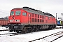 LTS 0233 - Railion "233 043-9"
09.01.2009 - Seddin, BahnbetriebswerkIngo Wlodasch