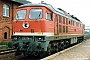 LTS 0395 - DR "232 178-4"
__.07.1993 - Brandenburg an der Havel, HauptbahnhofRalf Brauner