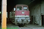 LTS 0407 - DR "132 192-6"
22.09.1991 - Chemnitz-Hilbersdorf, Betriebswerk
Norbert Schmitz