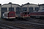 LTS 0427 - DR "132 214-8"
27.03.1985 - Wittenberge, Bahnbetriebswerk
Philip Wormald