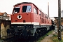 LTS 0428 - DB AG "232 213-9"
26.04.1997 - Meiningen
 DPS