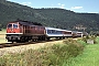 LTS 0428 - DR "232 213-9"
13.08.1993 - bei RudolstadtWerner Brutzer