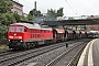LTS 0431 - DB Schenker "233 217-9"
18.09.2013 - Hamburg-HarburgPatrick Bock