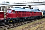 LTS 0431 - TrainLog "233 217-9"
02.01.2021 - Mannheim-Friedrichsfeld, HEMHarald Belz