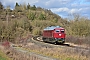 LTS 0431 - TrainLog "233 217-9"
04.02.2021 - MellrichstadtThomas Leyh