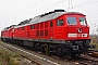 LTS 0493 - Railion "233 281-5"
01.11.2008 - GroßkorbethaSven Hohlfeld