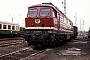 LTS 0618 - DR "132 383-1"
09.05.1991 - MagdeburgWerner Brutzer