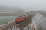 LTS 0619 - DB Schenker "232 384-8"
16.11.2011 - Herlasgrün
Philipp Popp