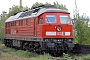 LTS 0641 - DB Cargo "232 407-7"
06.10.2003 - HoyerswerdaTorsten Frahn