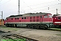 LTS 0653 - DR "232 419-2"
28.04.1992 - Neustrelitz, Betriebswerk
Norbert Schmitz LTS 0653 - DR "232 419-2"
28.04.1992 - Neustrelitz, Betriebswerk
Norbert Schmitz