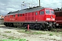 LTS 0684 - DB AG "232 445-7"
14.09.1998 - Senftenberg, BetriebswerkNorbert Schmitz