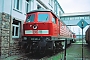 LTS 0715 - DB Cargo "232 480-4"
09.02.2002 - Mannheim, BetriebshofErnst Lauer