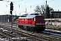 LTS 0724 - MEG "315"
05.02.2015 - Königs WusterhausenIngo Wlodasch
