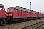 LTS 0729 - Railion "232 494-5"
28.01.2009 - Saalfeld (Saale), BetriebswerkStephan Möckel