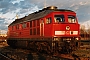 LTS 0732 - DB Cargo "232 497-8"
26.02.2002 - Leipzig-EngelsdorfOliver Wadewitz
