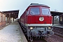LTS 0734 - DR "132 499-5"
02.02.1992 - Potsdam-WildparkLeonhard Grunwald