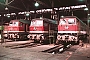 LTS 0738 - DR "132 503-4"
13.06.1987 - Frankfurt (Oder), Bahnbetriebswerk
Michael Uhren