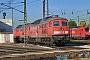 LTS 0749 - Railion "232 514-0"
15.10.2007 - Magdeburg-Rothensee, BahnbetriebswerkIngo Wlodasch