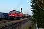LTS 0756 - DB Cargo "233 521-4"
11.11.2016 - OertzenhofAndreas Görs