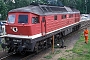 LTS 0811 - DB AG "234 551-0"
04.07.1999 - GörlitzJ. Gampe (Archiv Werner Brutzer)
