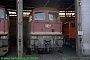LTS 0814 - DR "132 554-7"
21.09.1991 - Halle (Saale), Betriebswerk G
Norbert Schmitz