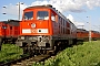 LTS 0875 - Railion "233 594-1"
11.05.2005 - Dresden-Friedrichstadt, BahnbetriebswerkTorsten Frahn