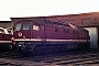 LTS 0980 - DR "132 699-0"
04.12.1990 - Rostock, Betriebswerk HauptbahnhofMichael Uhren