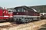 LTS 0098 - DR "130 076-3"
05.10.1988 - Neustrelitz, BahnbetriebswerkMichael Uhren